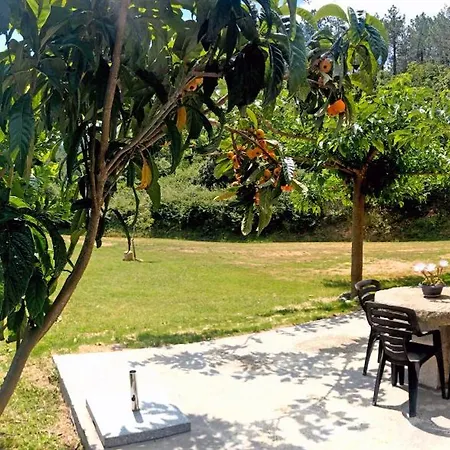 Country house Miquel